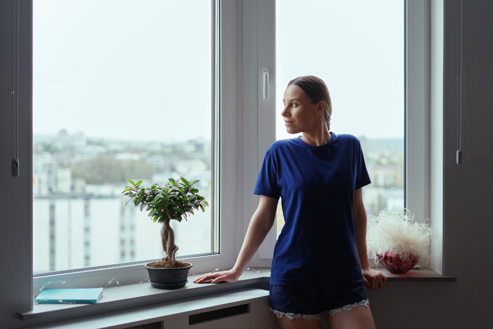 Cincinnati Window Styles